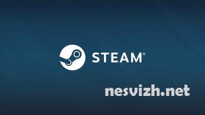      Steam