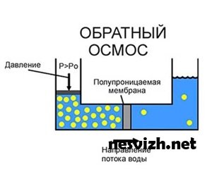   :    