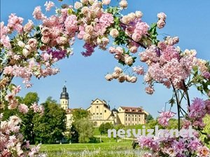 ���� ������� � ������� � �������: ���-3 ���������������������